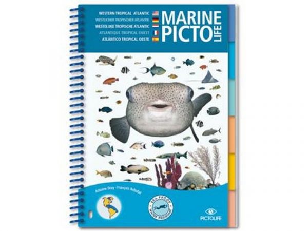 MARINE PICTO LIFE
