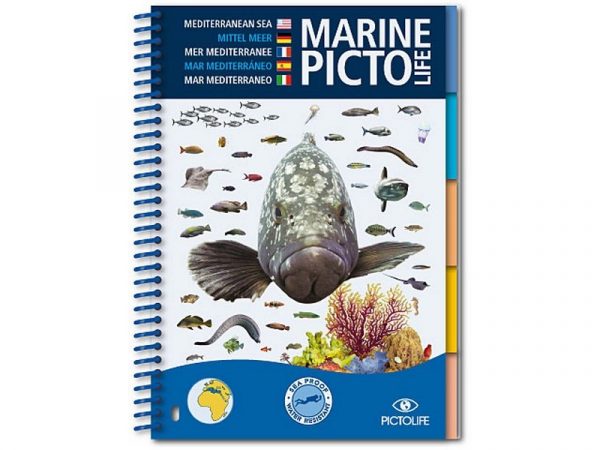 MARINE PICTO LIFE