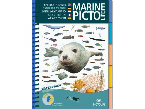 MARINE PICTO LIFE