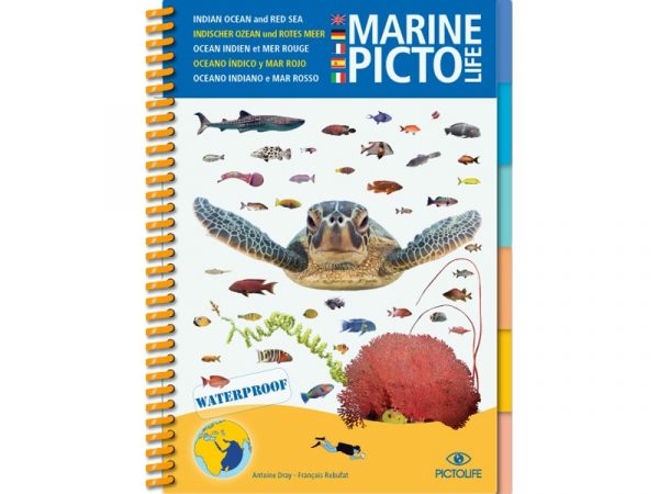 MARINE PICTO LIFE