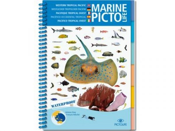 MARINE PICTO LIFE
