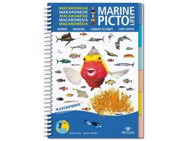 MARINE PICTO LIFE
